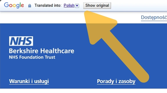 A desktop screenshot of the on the Google Translate bar with an arrow pointing to the options