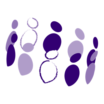 Purple Network 