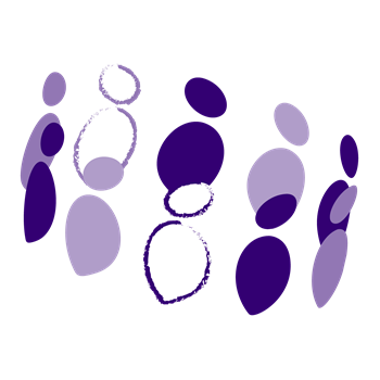 Purple Network