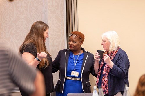 Attendees of the workshop networking