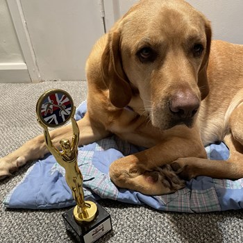 Baxter the dog with his award