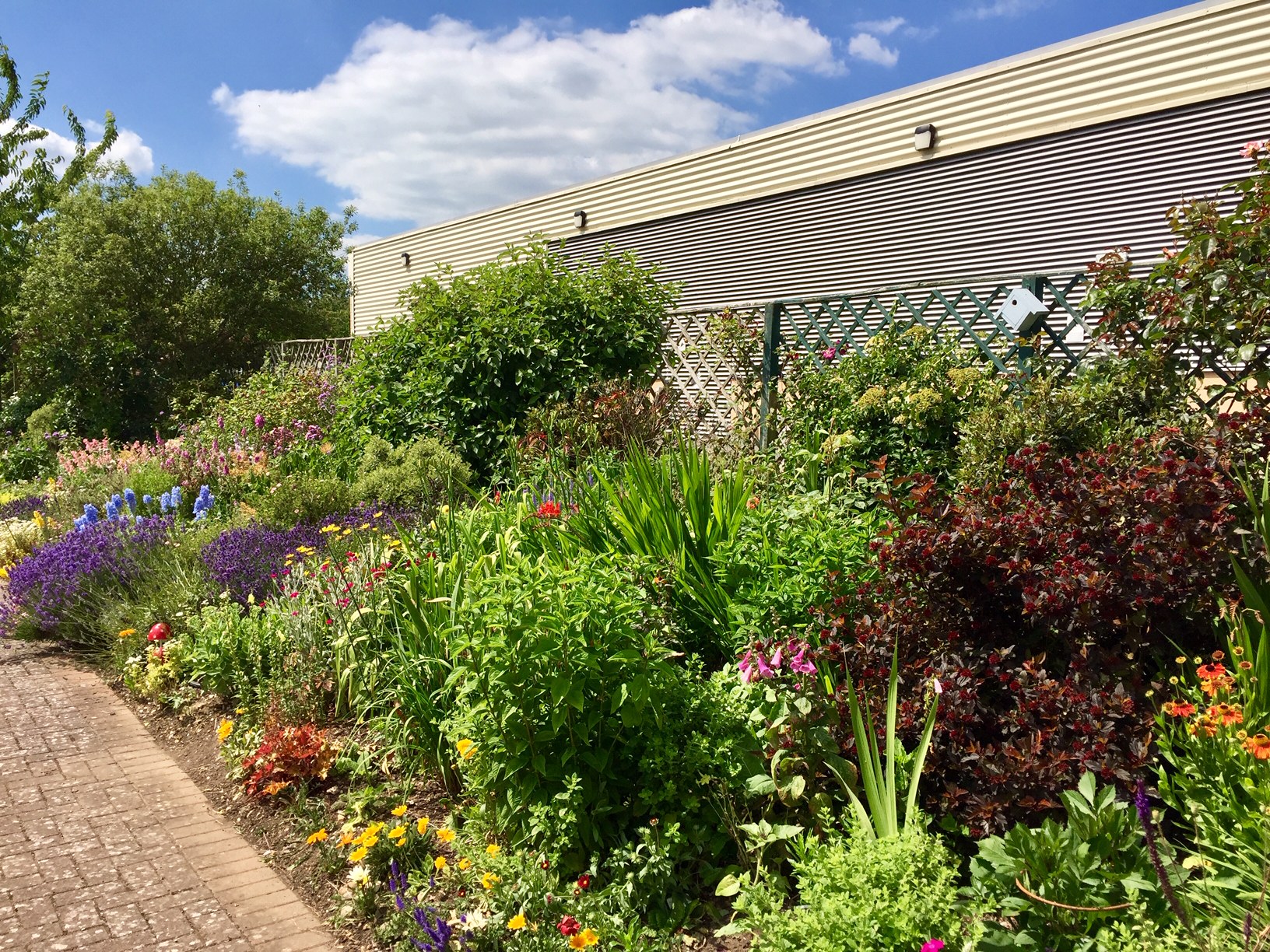 Therapy Garden at West Berkshire Community Hospital