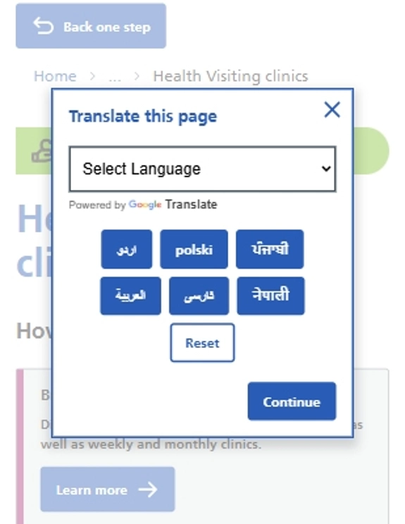 A mobile screenshot of the translation options pop-up