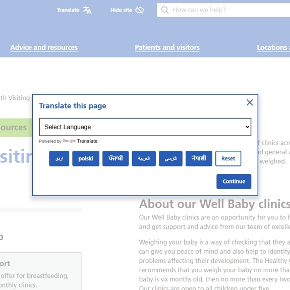 A desktop screenshot of the translation options pop-up