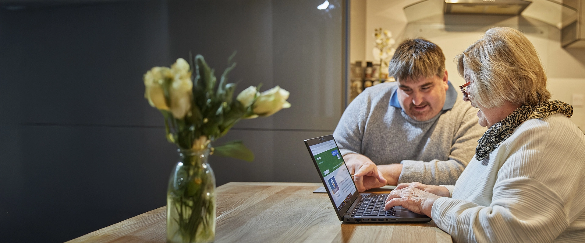 Carer and older woman looking at laptop