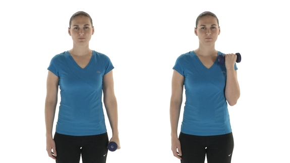 Person standing straight with arms by sides, a dumbbell in one hand. Then the arm with the dumbbell is bent upward, with palm facing inward.
