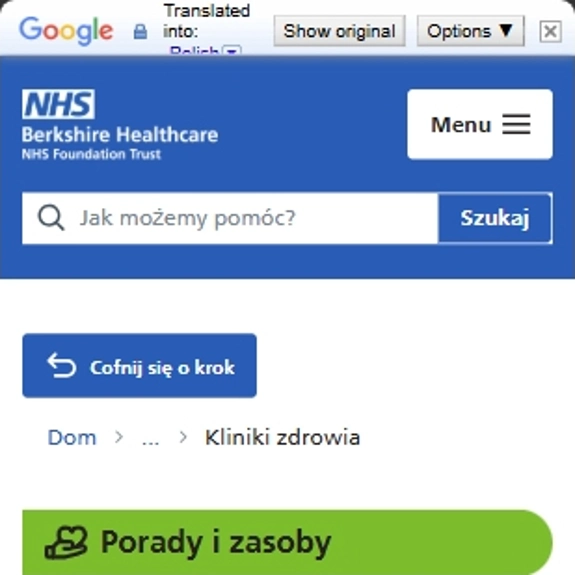A mobile screenshot of the Google Translate bar along the top of a webpage