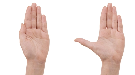 Hand raised up straight with thumb against the side, and then the thumb brought away from the palm.